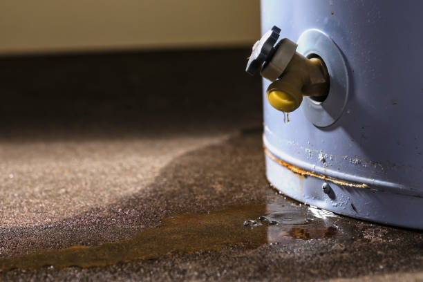 Best Water damage restoration near me  in Walnut Park, CA