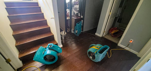 Best Flood restoration services  in Walnut Park, CA