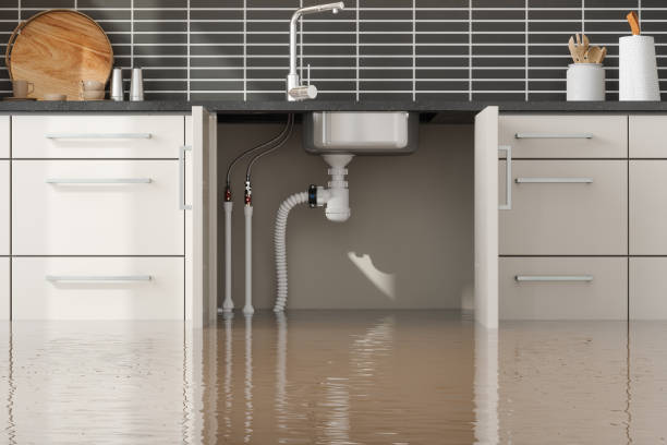 Best Sewage cleanup and water damage restoration  in Walnut Park, CA