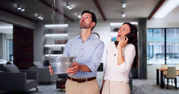  Walnut Park, CA Water damage restoration Pros