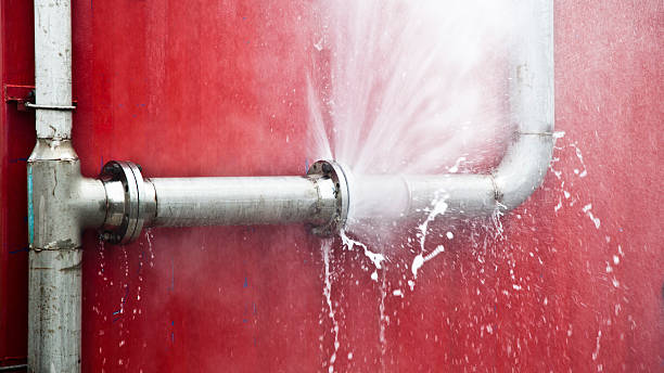 Best Flood damage cleanup  in Walnut Park, CA