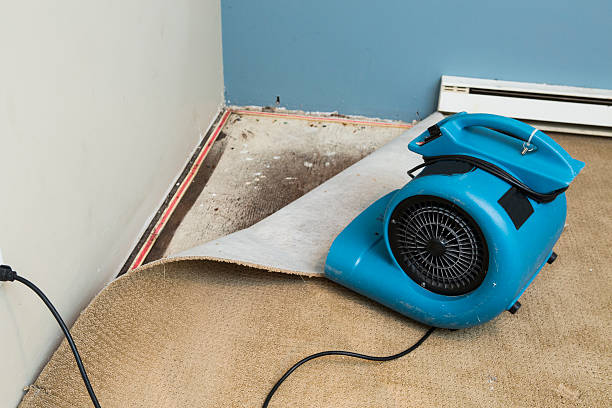 Best Sewage cleanup and water damage restoration  in Walnut Park, CA